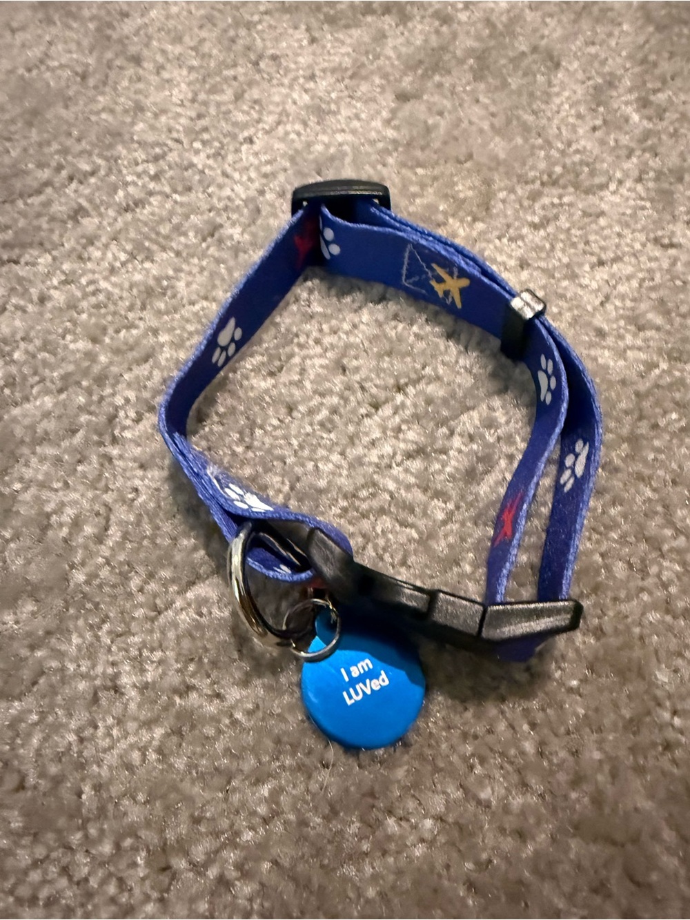 Blue Paw-Print Nylon Dog Collar with ID Tag